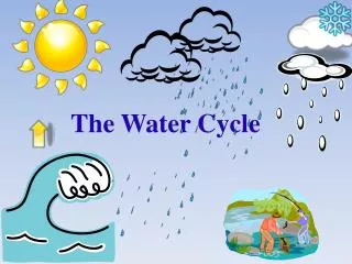The Water Cycle