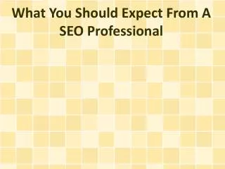 What You Should Expect From A SEO Professional