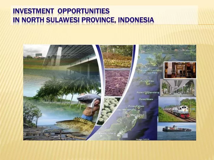 investment opportunities in n orth sulawesi province indonesia