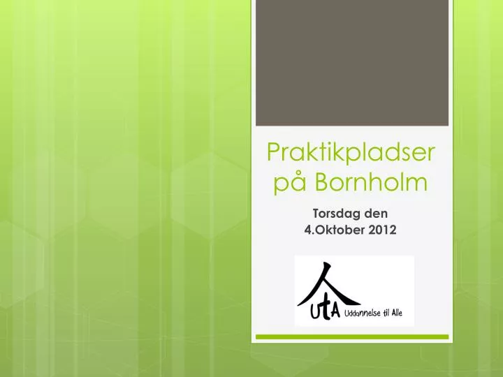 praktikpladser p bornholm