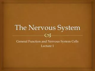 The Nervous System