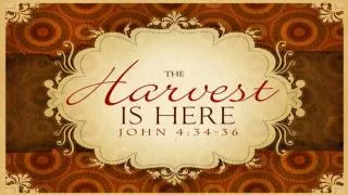 What part are you to play in the Harvest?