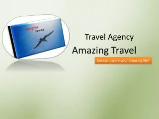 Amazing Travel