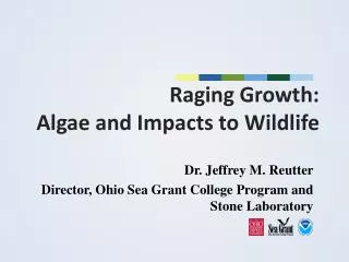 Raging Growth: Algae and Impacts to Wildlife