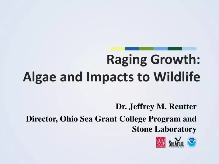 raging growth algae and impacts to wildlife
