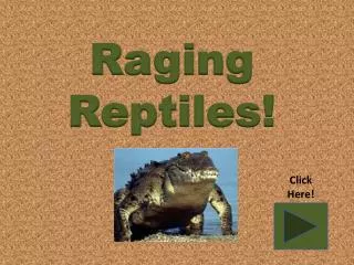 Raging Reptiles!