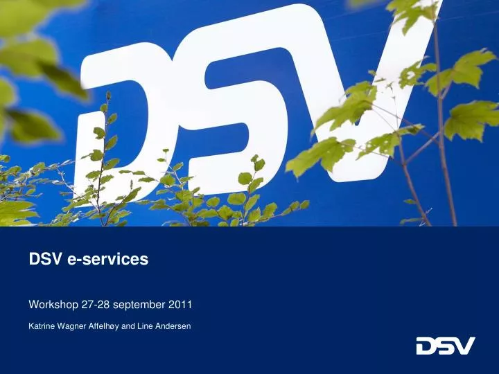 dsv e services