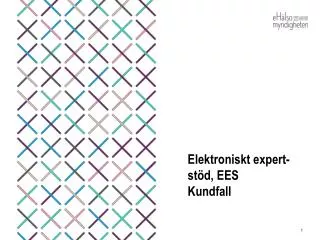 elektroniskt expert st d ees kundfall