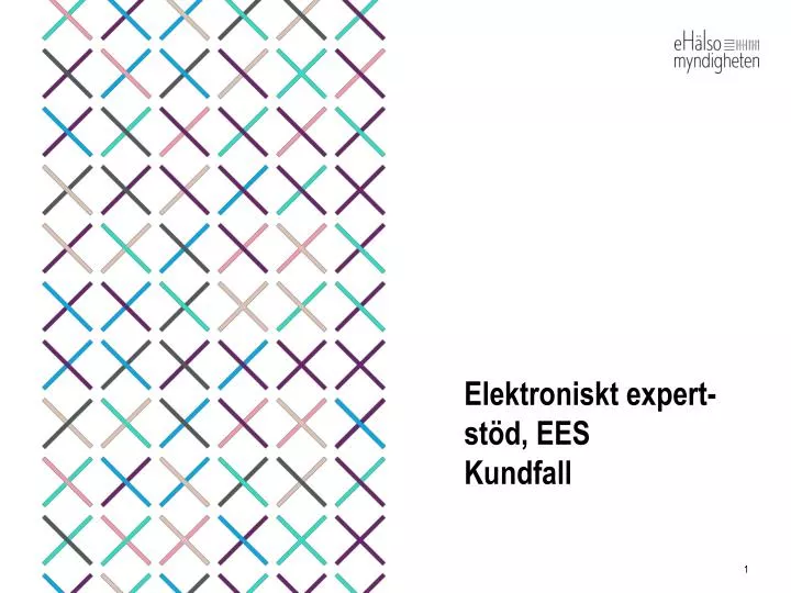 elektroniskt expert st d ees kundfall