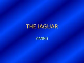 the jaguar
