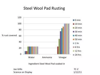 Ingredient Steel Wool Pad soaked in