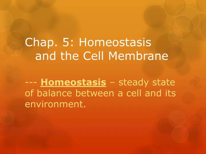 chap 5 homeostasis and the cell membrane