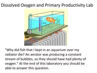 Dissolved Oxygen and Primary Productivity Lab