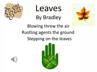 Leaves By Bradley