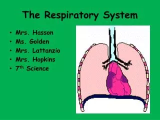 The Respiratory System