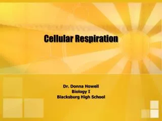 cellular respiration