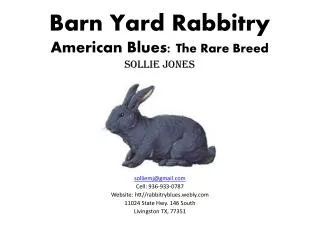Barn Yard Rabbitry American Blues: The Rare B reed Sollie Jones
