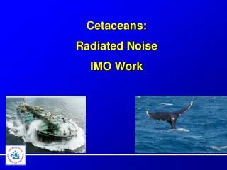 Cetaceans: Radiated Noise IMO Work