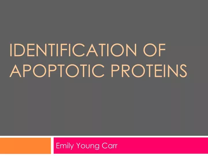 identification of apoptotic proteins
