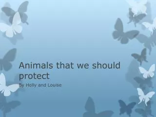 Animals that we should protect