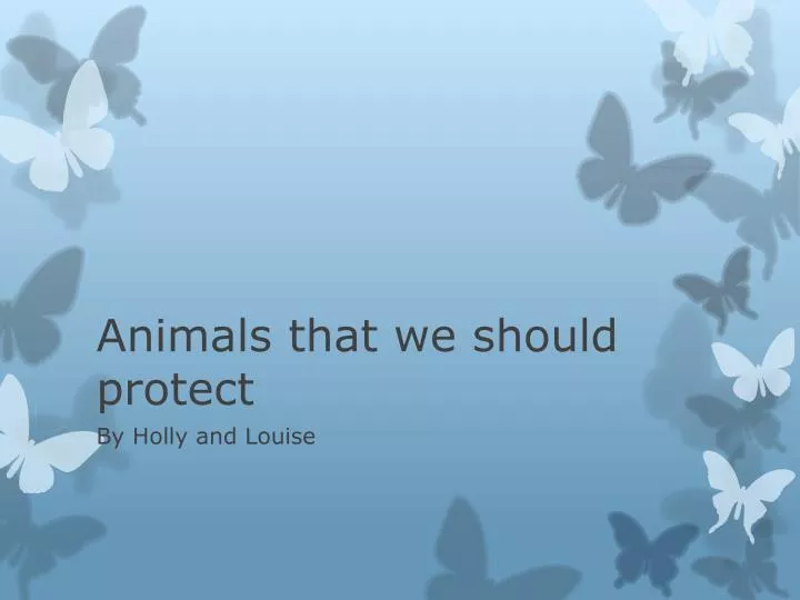 animals that we should protect