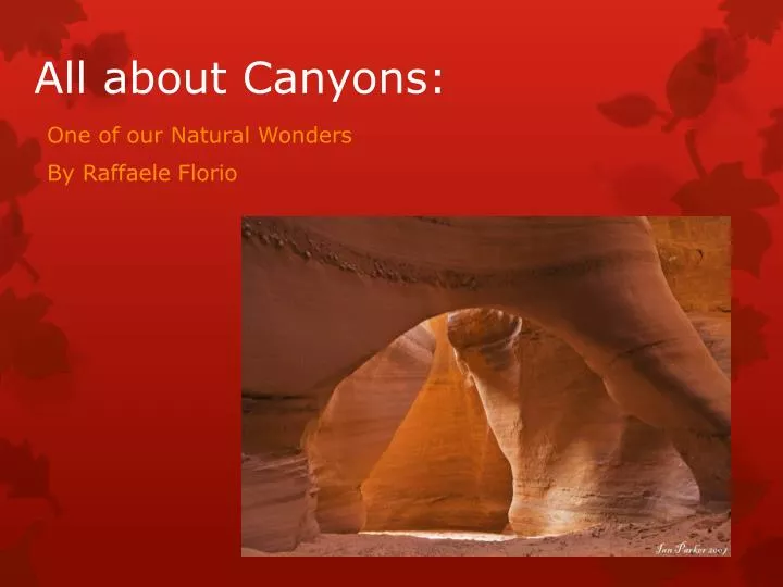 all about canyons
