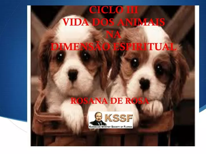 ciclo iii vida dos animais na dimens o espiritual