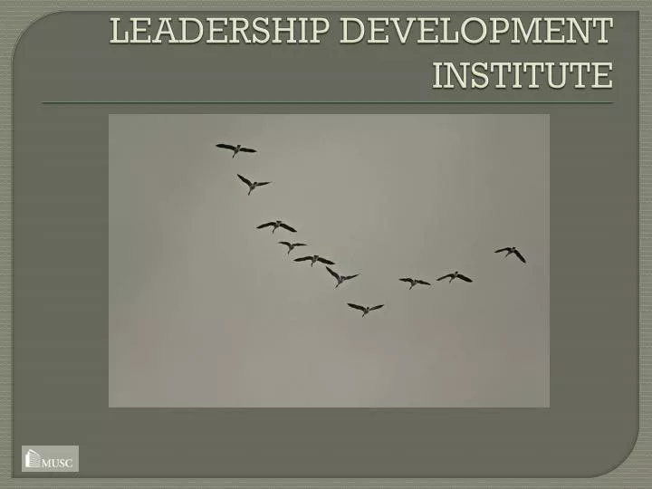 leadership development institute