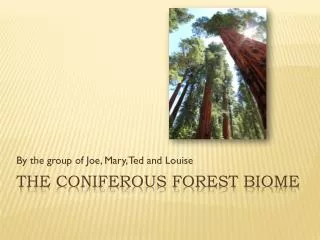 The Coniferous Forest Biome