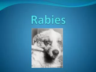 Rabies