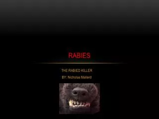 Rabies