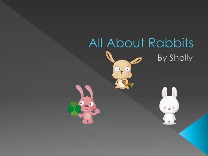 all about rabbits