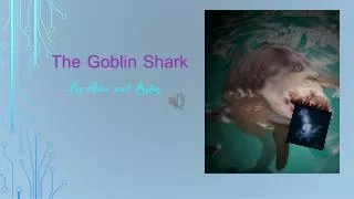 The Goblin Shark