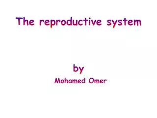 The reproductive system by Mohamed Omer
