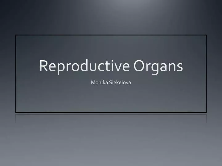reproductive organs