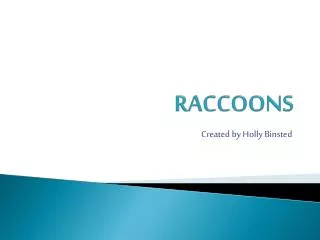 RACCOONS