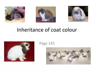 Inheritance of coat colour