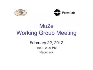 Mu2e Working Group Meeting