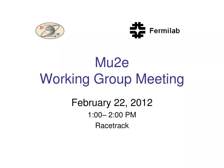 mu2e working group meeting