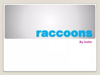 raccoons