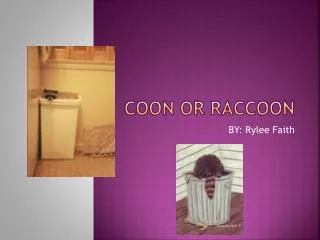 Coon or Raccoon
