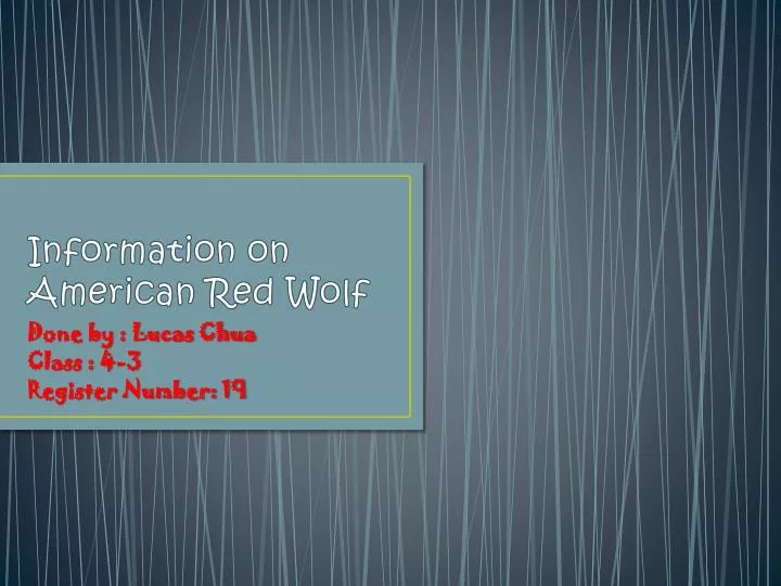 information on american red wolf