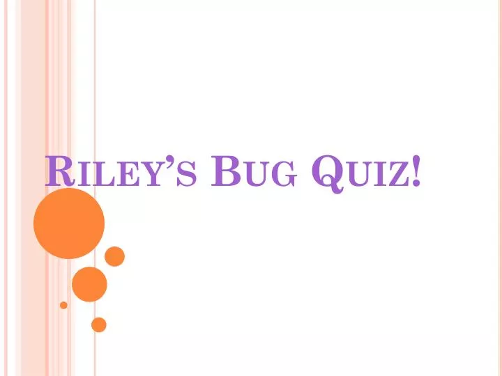 riley s bug quiz