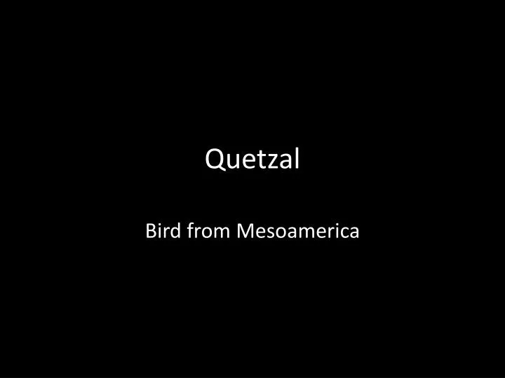 quetzal