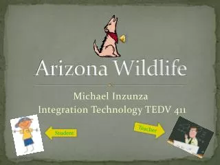 Arizona Wildlife