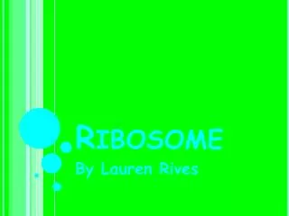 Ribosome