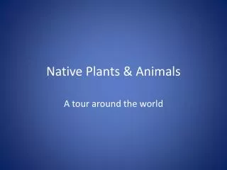 Native Plants &amp; Animals