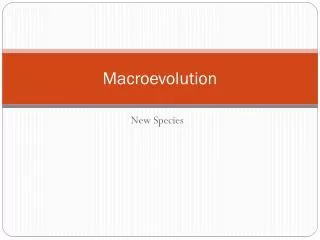 macroevolution