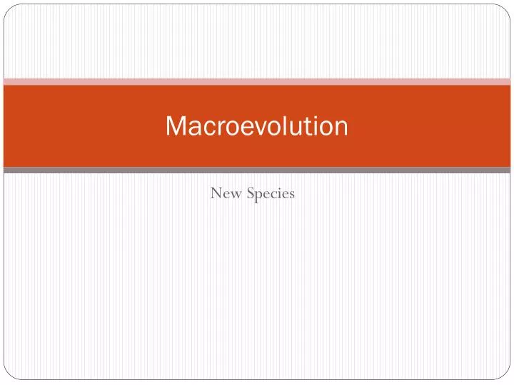 macroevolution