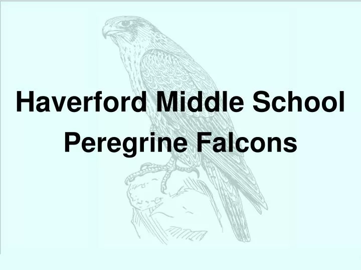 haverford middle school